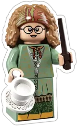 Professor Trelawney